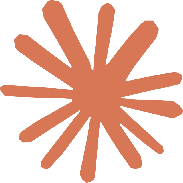 Claude Platform Support