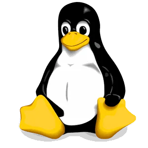 Linux Freelancing Training